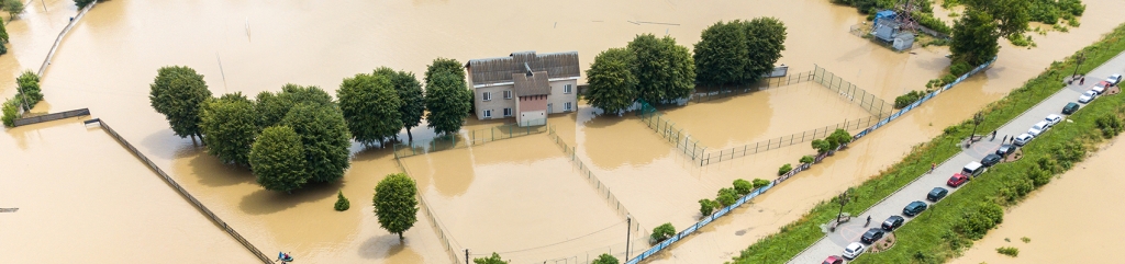 disaster assistance